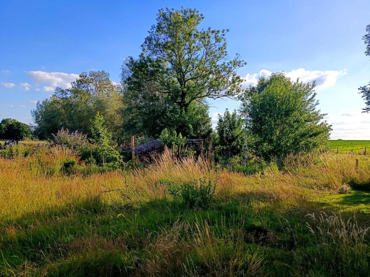 Au Pied Du Trieu, The Glamping Experience Hotel Labroye Kültér fotó