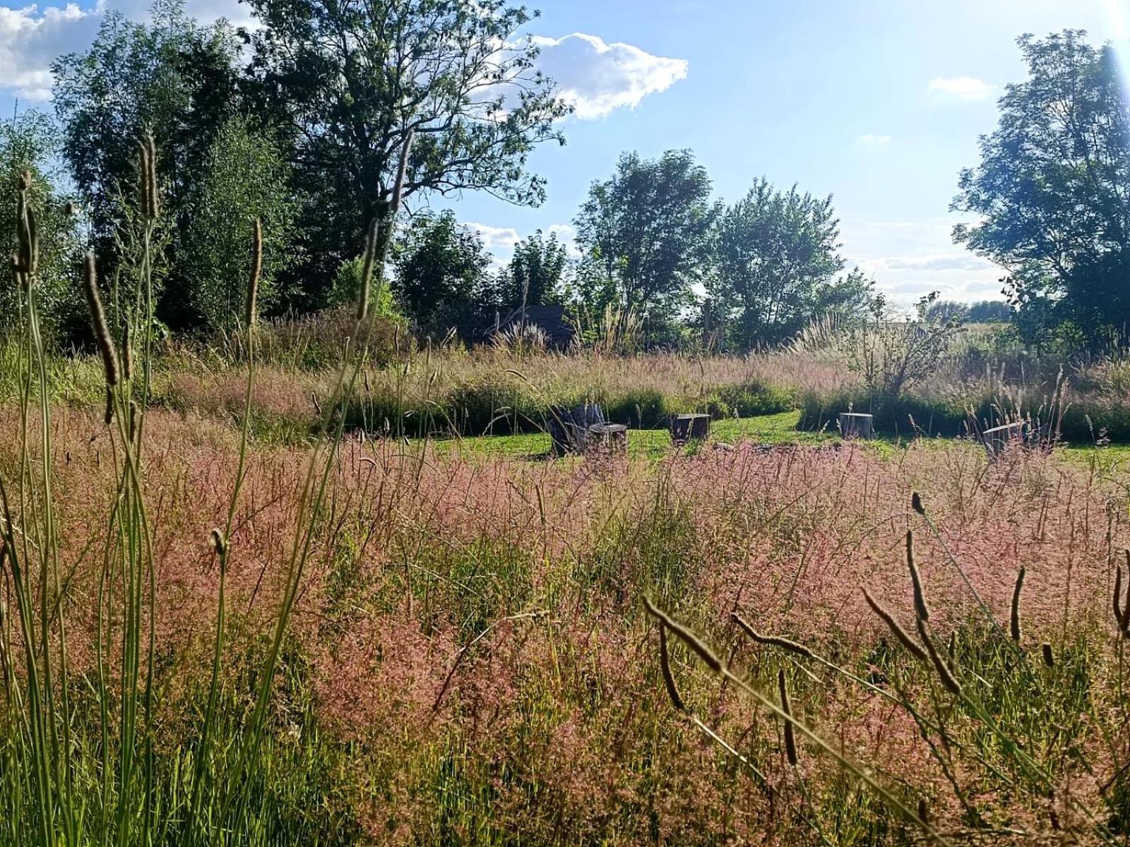 Au Pied Du Trieu, The Glamping Experience Hotel Labroye Kültér fotó